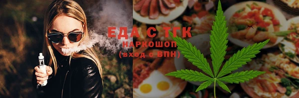 хмурый Алексин