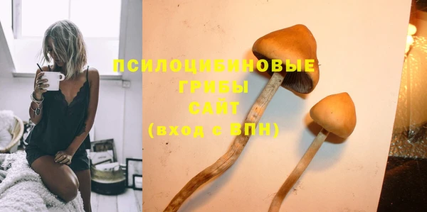 хмурый Алексин