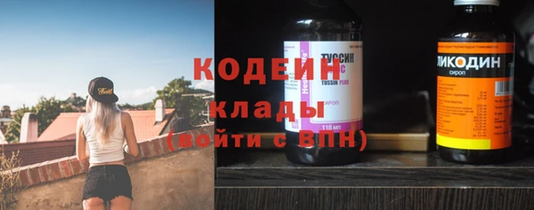 хмурый Алексин