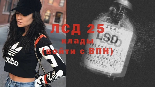 хмурый Алексин