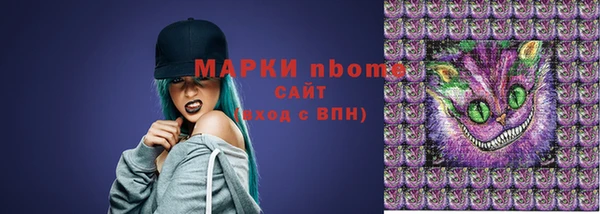 хмурый Алексин