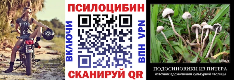 Псилоцибиновые грибы прущие грибы  закладка  Старый Оскол 